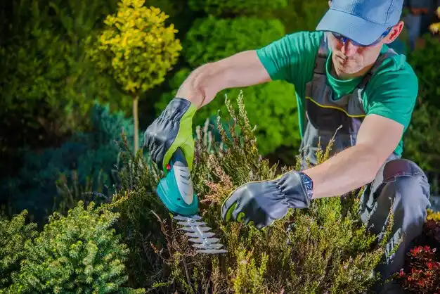 landscaping services Girard